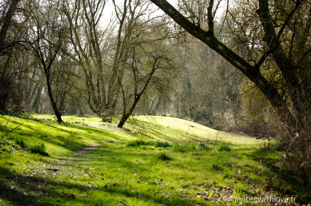 Circuit de l'Île Clémentine 🏝️